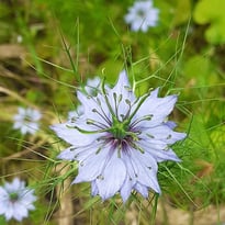 Exposition photos du jardin