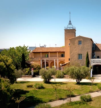 Visite guidée du Mas de Saporta