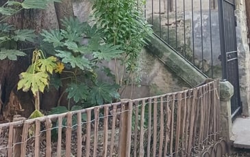 Visite libre de la muraille de la ville