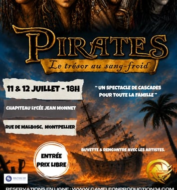 Pirates : Le Trésor au Sang Froid
