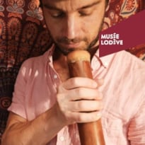 Lecture musicale de l'album Didgeridoo