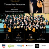 Concertos pour mandoline