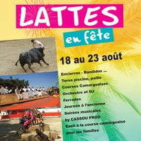 Lattes en fête