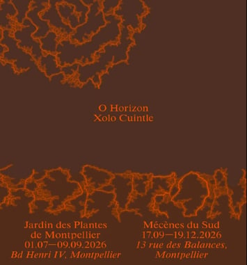 O Horizon