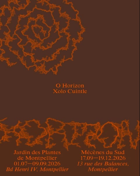 O Horizon