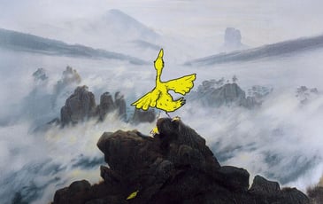 Canard or Not Canard