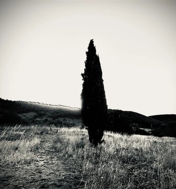 Atelier photographique, la découverte du sténopé, l'origine de la photo