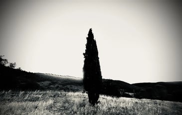 Atelier photographique, la découverte du sténopé, l'origine de la photo
