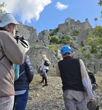 Visite guidée du château de Montferrand
