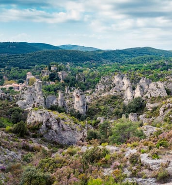 Toiles des Terres d'Hérault