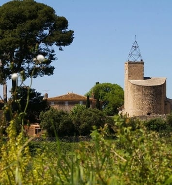 Visite guidée du village de Montpeyroux