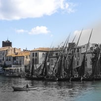 Exposition : Disparus !