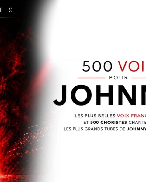 500 Voix pour Johnny
