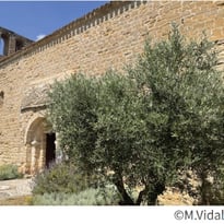 Visite de la chapelle romane Saint-Geniès de Litenis
