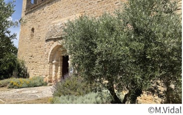 Visite de la chapelle romane Saint-Geniès de Litenis
