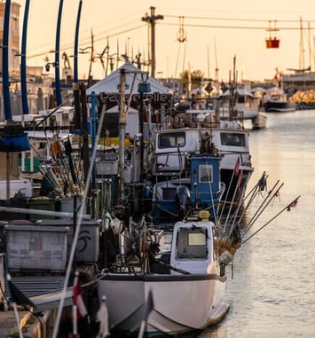 Visite guidée, L'art de la pêche Palavasienne
