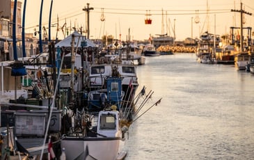 Visite guidée, L'art de la pêche Palavasienne