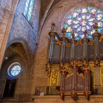 Visite commentée de l'orgue de la cathédrale Saint-Fulcran