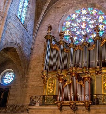Visite commentée de l'orgue de la cathédrale Saint-Fulcran