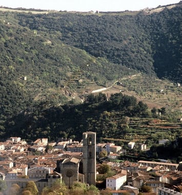 Les vestiges du Castellas de Montbrun