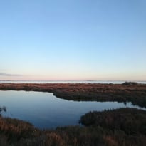 Zone humide de la Conque à Mèze : venez découvrir votre patrimoine naturel