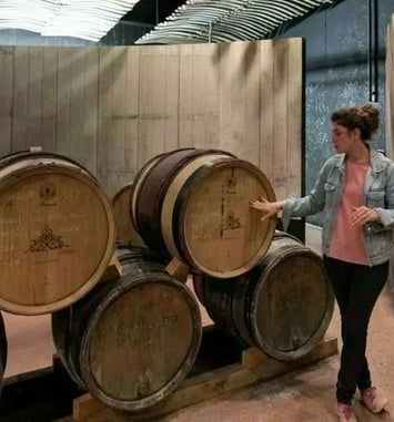 Visite commentée de la cave de Château Castigno