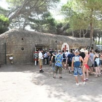 Visite libre du site des bunkers de la Tamarissière 1942