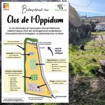 Visite commentée : inauguration du clos de l'Oppidum