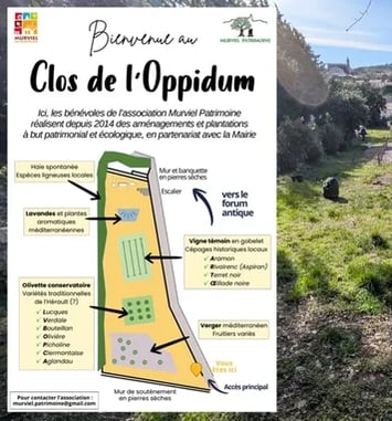 Visite commentée : inauguration du clos de l'Oppidum