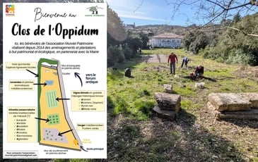 Visite commentée : inauguration du clos de l'Oppidum