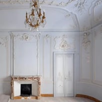 Visite libre du salon aux gypseries de l'hôtel d'Aurès