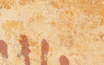 Rencontres avec les artistes de l'exposition Trace d'Humanité