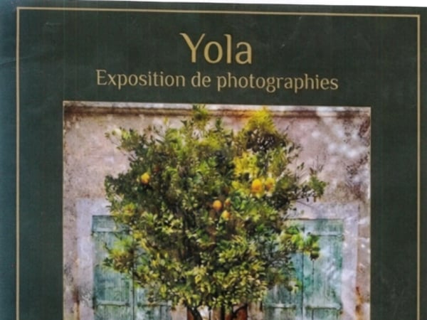 Yola Le Sud Les Réalités Magiques