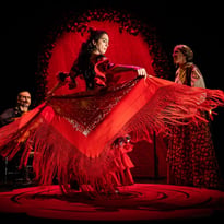 Les Coeurs Andalous