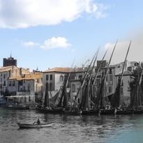 Exposition : Disparition(s) !