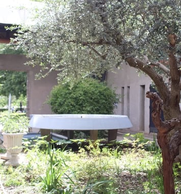 Atelier : le monde végétal du musée