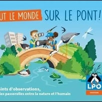 Visite libre : tout le monde sur le pont