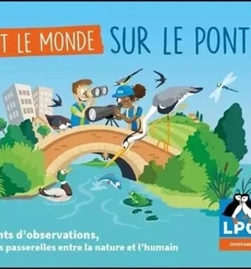 Visite libre : tout le monde sur le pont