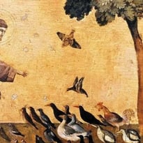 Visite commentée : Création & créations végétales, les 800 ans de Saint François d'Assise