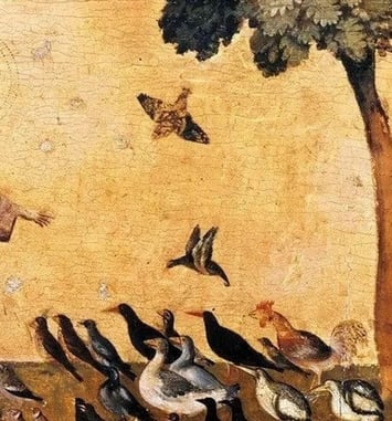 Visite commentée : Création & créations végétales, les 800 ans de Saint François d'Assise