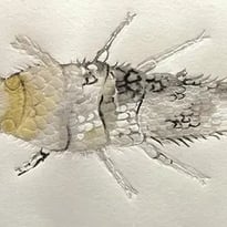 Atelier en famille : «Poisson d'argent»