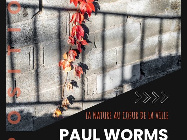 La nature au cœur de la ville