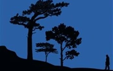 L'Homme qui plantait des arbres