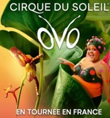 Ovo, Cirque du Soleil, Tournée