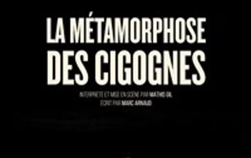 La Métamorphose des cigognes