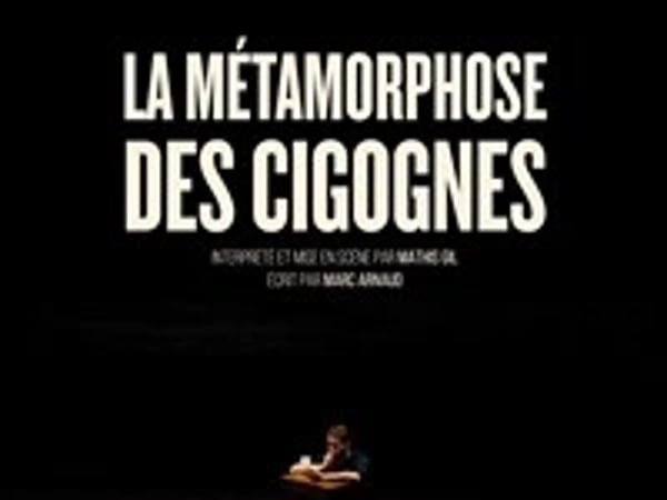 La Métamorphose des cigognes