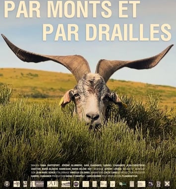 "Par monts et par drailles" : le film
