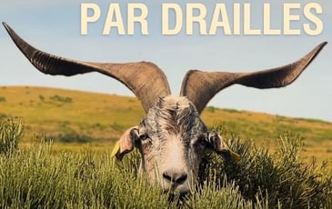 "Par monts et par drailles" : le film