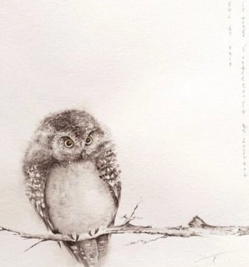 Exposition Anna Pourchot