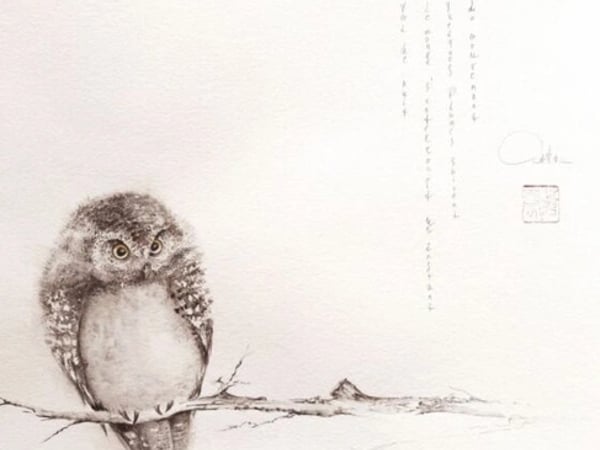 Exposition Anna Pourchot